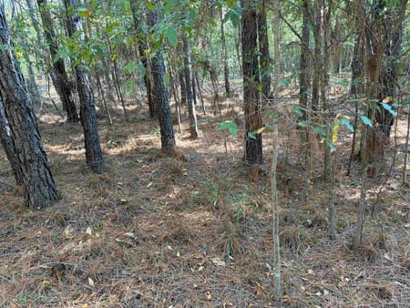 Eatonton, GA 31024 Putnam County