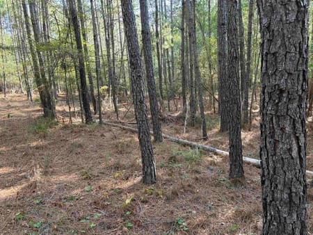 Eatonton, GA 31024 Putnam County