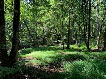 Fairburn, GA 30213 Fulton County