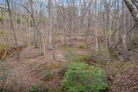Dahlonega, GA 30533 Lumpkin County
