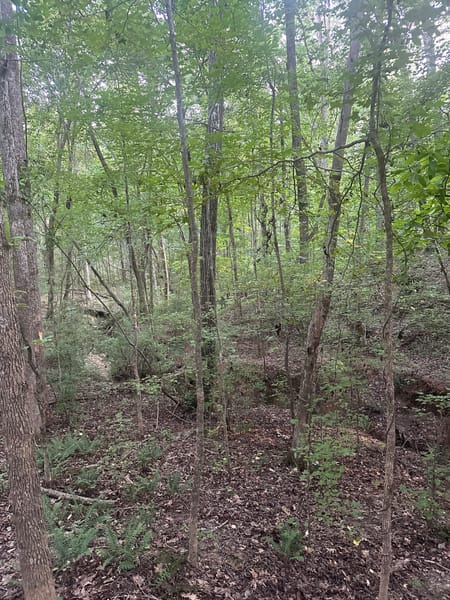 Newnan, GA 30263 Coweta County