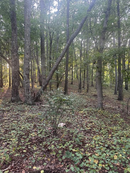 Newnan, GA 30263 Coweta County