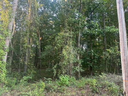 Newnan, GA 30263 Coweta County