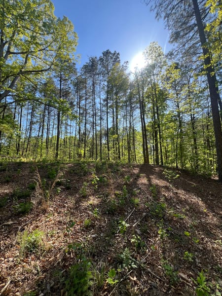 Dalton, GA 30720 Whitfield County