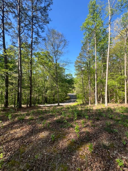 Dalton, GA 30720 Whitfield County