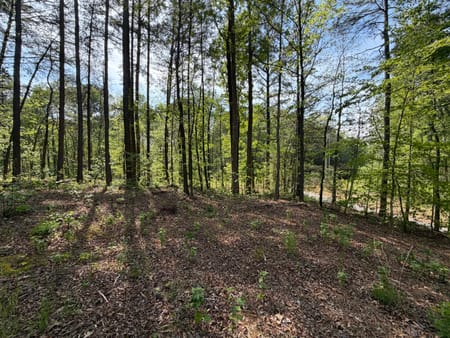 Dalton, GA 30720 Whitfield County