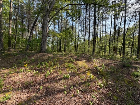 Dalton, GA 30720 Whitfield County