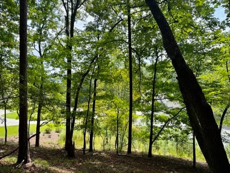 Dahlonega, GA 30533 Lumpkin County