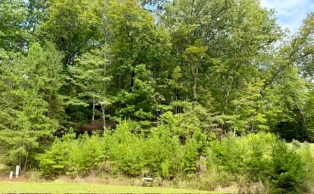 Dahlonega, GA 30533 Lumpkin County
