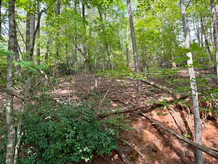 Dahlonega, GA 30533 Lumpkin County