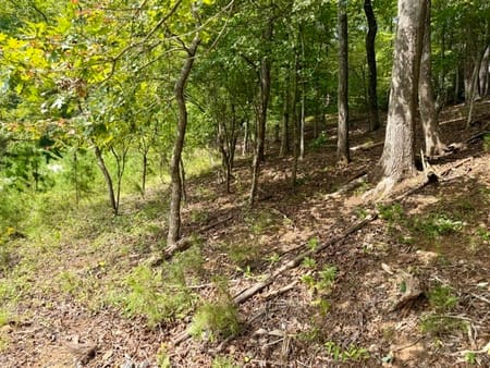 Dahlonega, GA 30533 Lumpkin County