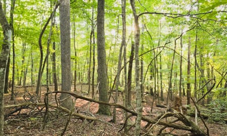 Clarkesville, GA 30523 Habersham County