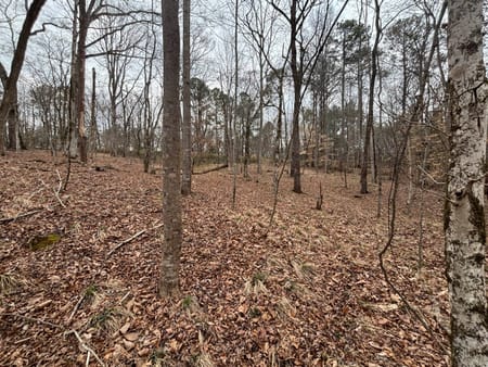 Buckhead, GA 30625 Morgan County
