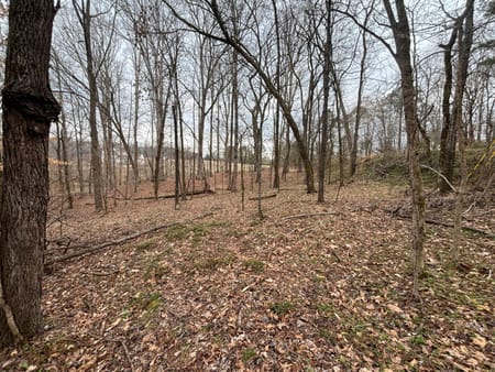 Buckhead, GA 30625 Morgan County