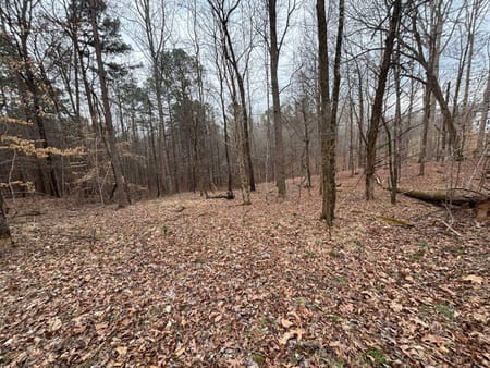 Buckhead, GA 30625 Morgan County