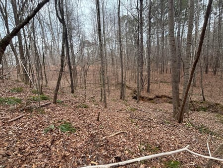 Buckhead, GA 30625 Morgan County