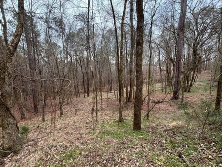 Buckhead, GA 30625 Morgan County