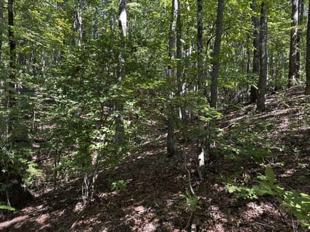 Ellijay, GA 30536 Gilmer County