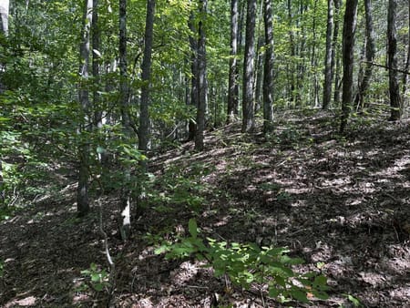 Ellijay, GA 30536 Gilmer County
