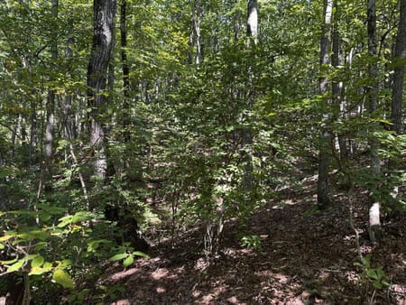 Ellijay, GA 30536 Gilmer County