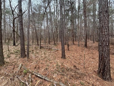 Buckhead, GA 30625 Morgan County