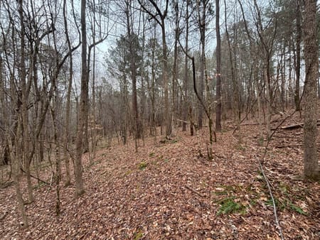Buckhead, GA 30625 Morgan County