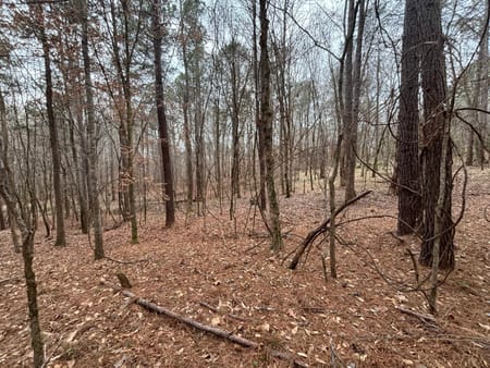 Buckhead, GA 30625 Morgan County