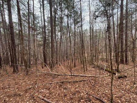 Buckhead, GA 30625 Morgan County