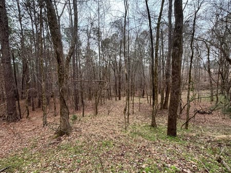 Buckhead, GA 30625 Morgan County