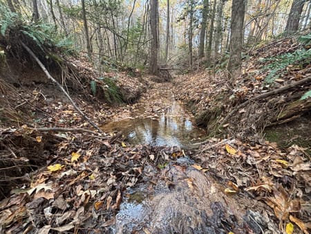 Buckhead, GA 30625 Morgan County