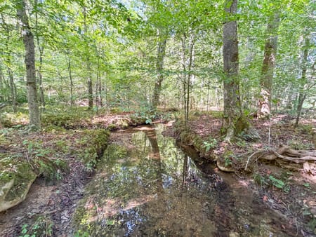 Buchanan, GA 30113 Haralson County
