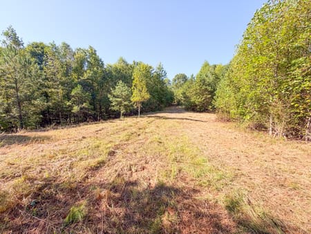 Buchanan, GA 30113 Haralson County