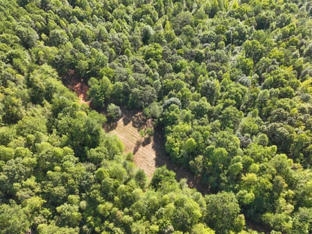 Buchanan, GA 30113 Haralson County