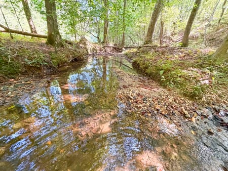 Buchanan, GA 30113 Haralson County