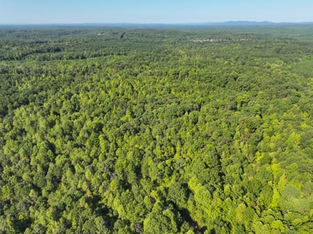 Buchanan, GA 30113 Haralson County
