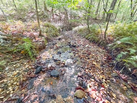 Buchanan, GA 30113 Haralson County