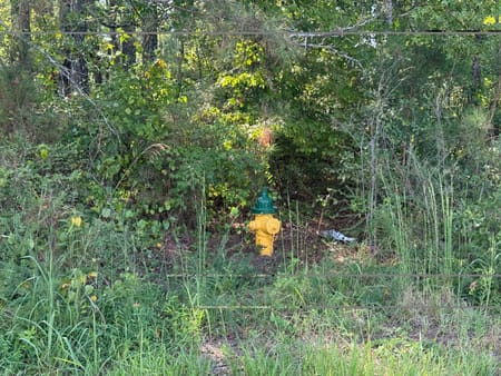Temple, GA 30179 Haralson County