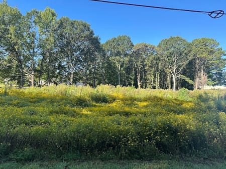 Carrollton, GA 30117 Carroll County