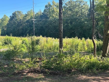 Carrollton, GA 30117 Carroll County