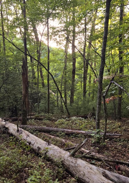 Clarkesville, GA 30523 Habersham County