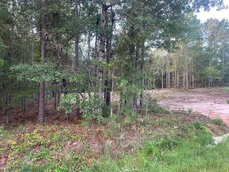 Garfield, GA 30425 Jenkins County