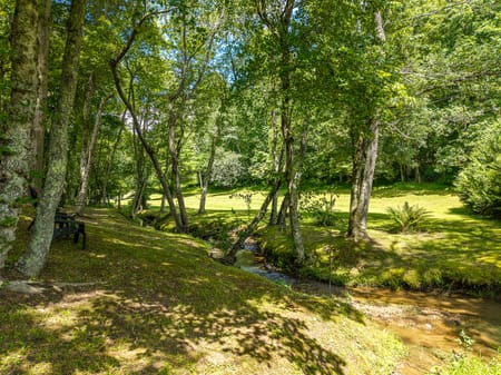 Blue Ridge, GA 30513 Fannin County