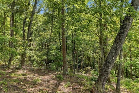 Ellijay, GA 30540 Gilmer County
