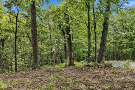 Ellijay, GA 30540 Gilmer County