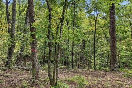 Ellijay, GA 30540 Gilmer County