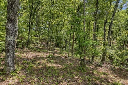 Ellijay, GA 30540 Gilmer County