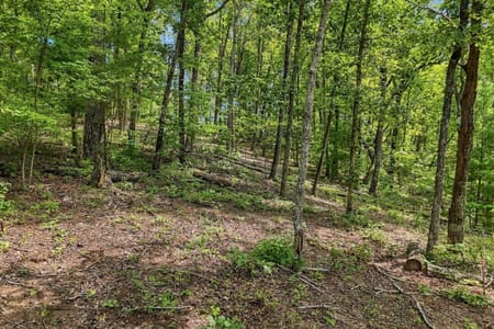 Ellijay, GA 30540 Gilmer County