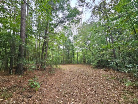 Elberton, GA 30635 Elbert County