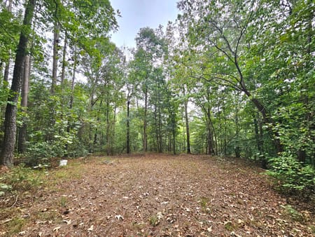 Elberton, GA 30635 Elbert County