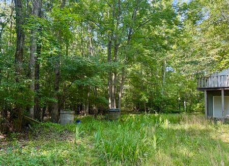 Carlton, GA 30627 Oglethorpe County